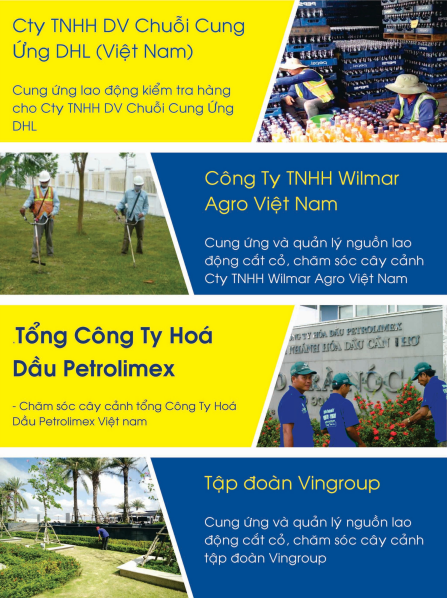 Chăm sóc cây cảnh